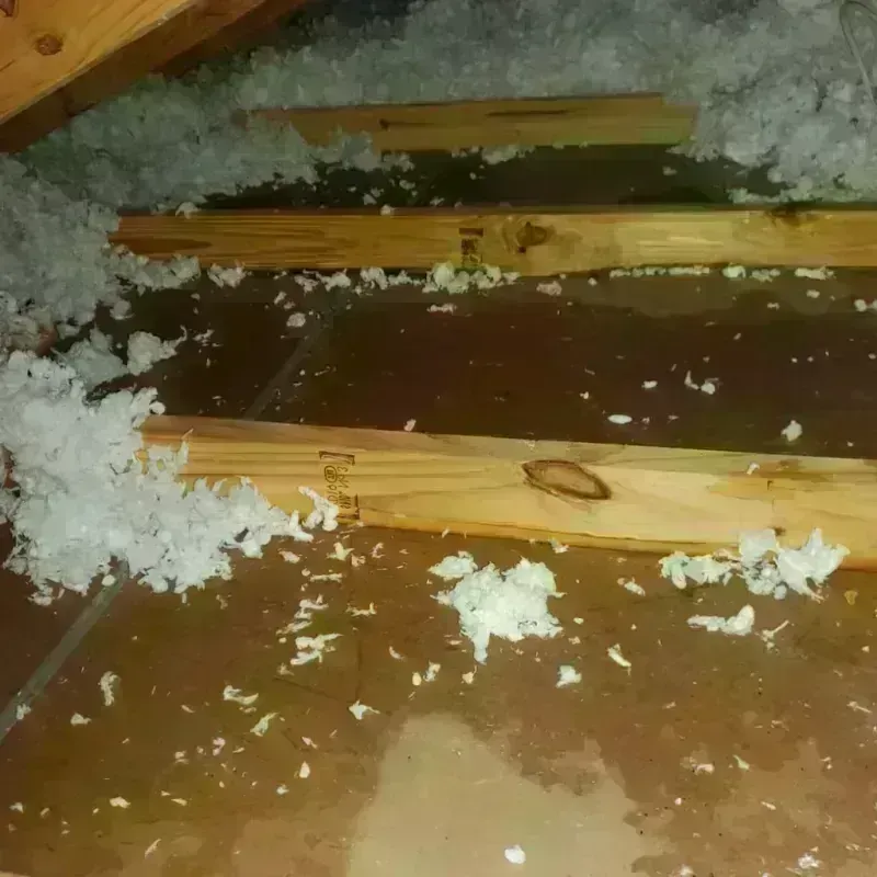 Attic Water Damage in Bethel Park, PA